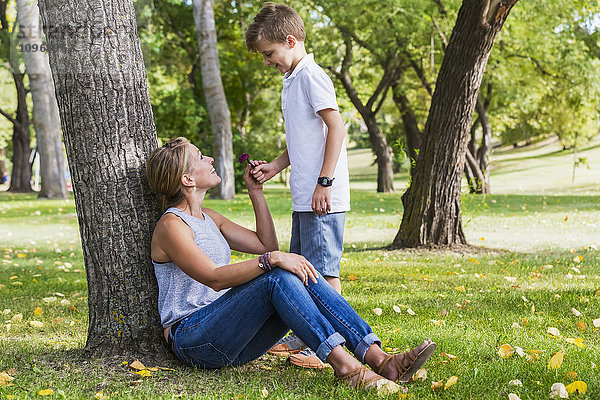 Mutter erhält eine Blume von ihrem Sohn  während sie während eines Familienausflugs Zeit in einem Park verbringt; Edmonton  Alberta  Kanada'.