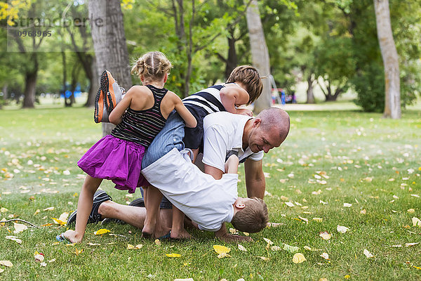 Ein Vater ringt mit seinen Kindern in einem Park während eines Familienausflugs; Edmonton  Alberta  Kanada'.