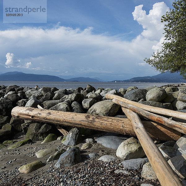 Baumstämme und Felsen am Wreck Beach entlang der Küste des Foreshore Trail; Vancouver  British Columbia  Kanada'.