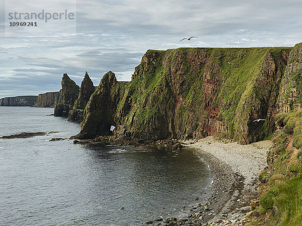 Schornsteine und Klippen am Duncansby Head; John O'Groats  Schottland'.