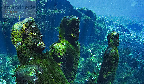 Mit grünem Moos bedeckte Filmrequisiten-Statuen in einer Süßwasserquelle