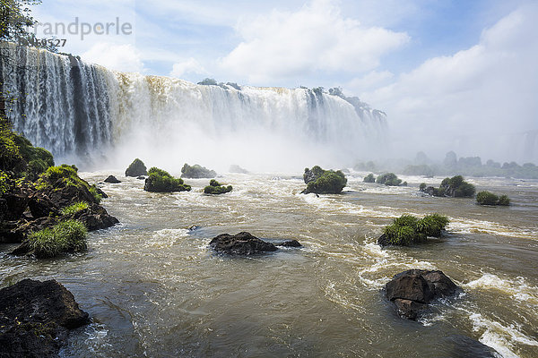 Grasbewachsene Felsen am Fuße der Iguazu-Fälle; Parana  Brasilien'.