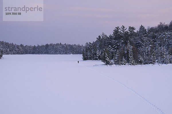 Schneeschuhwanderung über einen zugefrorenen  schneebedeckten See; Ontario  Kanada'.