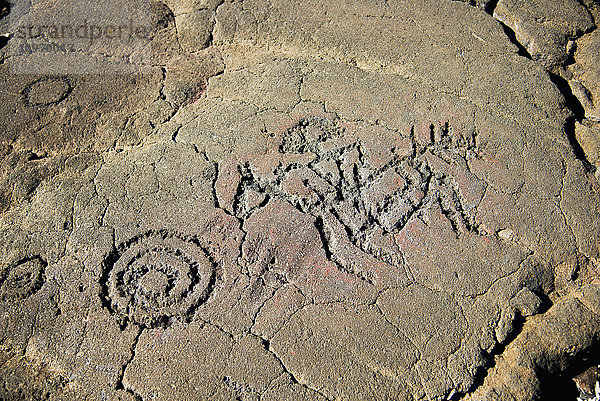 Petroglyphen auf dem King's Trail; Waikaloa  Insel Hawaii  Hawaii  Vereinigte Staaten von Amerika'.
