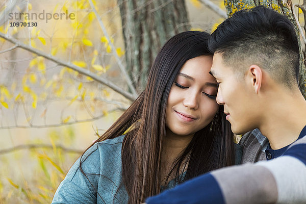 Ein junges asiatisches Paar genießt eine romantische Zeit miteinander und setzt sich im Herbst unter einen Baum in einem Park; Edmonton  Alberta  Kanada'.
