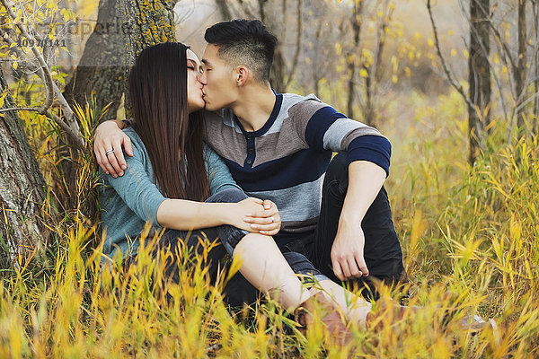 Ein junges asiatisches Paar genießt eine romantische Zeit im Freien in einem Park im Herbst und küsst sich unter einem Baum; Edmonton  Alberta  Kanada'.
