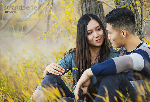 Ein junges asiatisches Paar genießt eine romantische Zeit im Freien in einem Park im Herbst unter einem Baum sitzend und einander in die Augen schauend; Edmonton  Alberta  Kanada'.