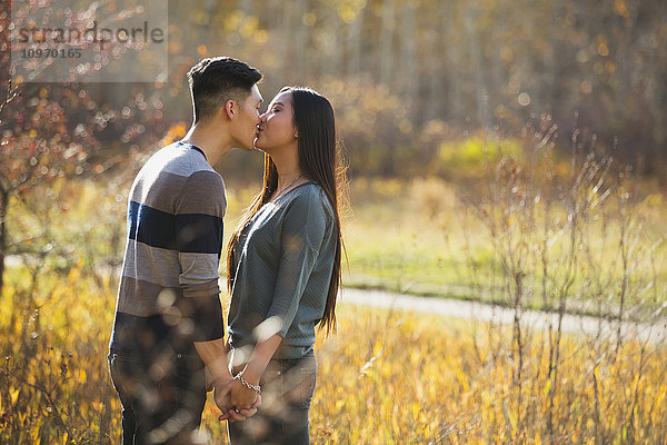 Ein junges asiatisches Paar genießt eine romantische Zeit im Freien in einem Park im Herbst und küsst sich in der Wärme des Sonnenlichts am frühen Abend; Edmonton  Alberta  Kanada'.