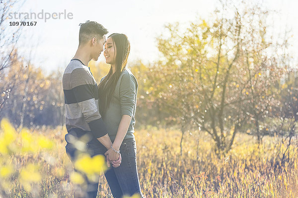 Ein junges asiatisches Paar  das im Herbst in einem Park Zeit miteinander verbringt und in den frühen Abendstunden im warmen Sonnenlicht Händchen hält; Edmonton  Alberta  Kanada'.
