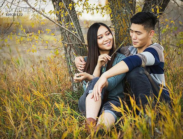 Ein junges asiatisches Paar genießt eine romantische Zweisamkeit und sitzt im Herbst unter einem Baum in einem Park  während sie ihn mit einem Grashalm an der Nase kitzelt; Edmonton  Alberta  Kanada'