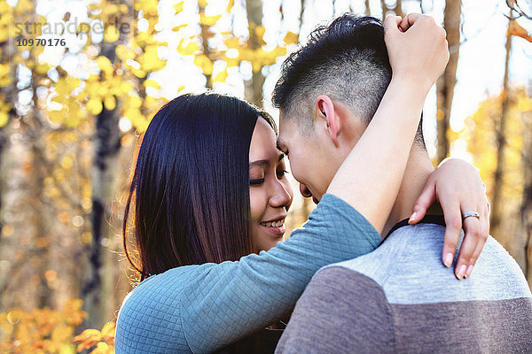 Ein junges asiatisches Paar genießt eine romantische Zeit im Freien in einem Park im Herbst und umarmt sich in der Wärme des Sonnenlichts am frühen Abend; Edmonton  Alberta  Kanada'.