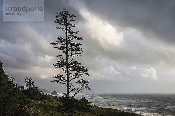 Wolken verhüllen die Küste von Oregon; Cannon Beach  Oregon  Vereinigte Staaten von Amerika'.