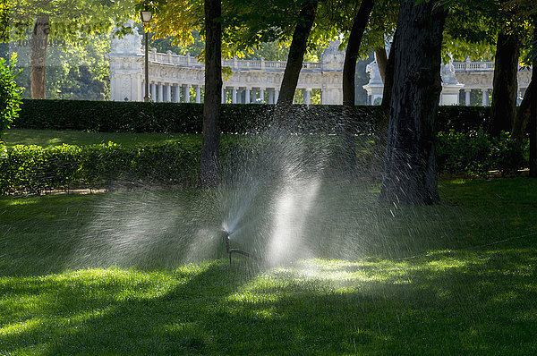Wassersprinkler auf dem üppigen grünen Gras in den El Retiro Gärten; Madrid  Spanien'.
