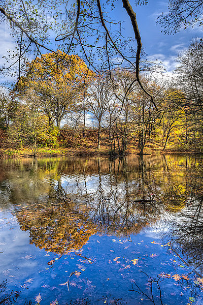 Herbstfarbenes Laub am Richmond Lake  Cloves Lake Park; Staten Island  New York  Vereinigte Staaten von Amerika'.
