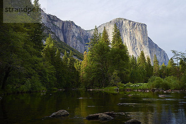 Merced River  Yosemite Valley  Yosemite National Park; Kalifornien  Vereinigte Staaten von Amerika'.