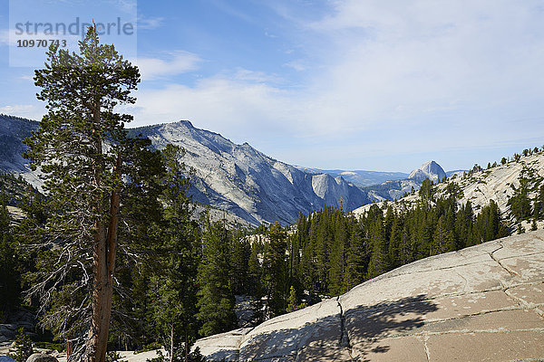 Blick vom Olmsted Point auf den Half Dome  Yosemite National Park; Kalifornien  Vereinigte Staaten von Amerika'.