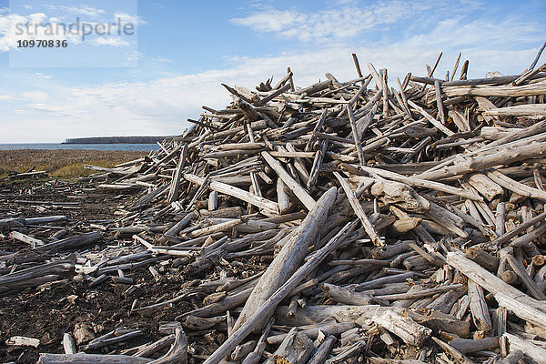 Ein Haufen Treibholz an einem See; Saskatchewan  Kanada'.