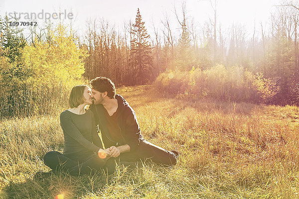 Ein junges Paar sitzt in der Wärme der untergehenden Sonne und küsst sich in einem Park im Herbst; Edmonton  Alberta  Kanada'.