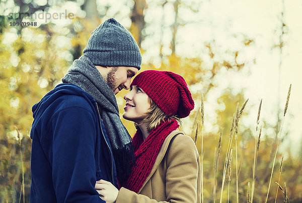 Ein junges Paar  das sich in die Augen schaut und küsst  in einem Stadtpark im Herbst; Edmonton  Alberta  Kanada