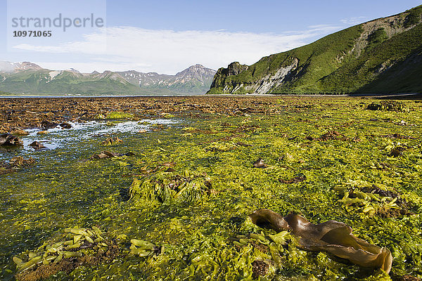 Niedrigwasser in der Isanotskistraße; False Pass  Alaska  Vereinigte Staaten von Amerika'.