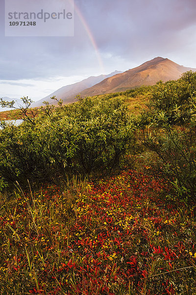 Brooks Range  Gates Of The Arctic National Park  Nordwest-Alaska oberhalb des Polarkreises; Alaska  Vereinigte Staaten von Amerika'.