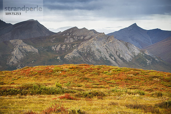 Brooks Range  Gates Of The Arctic National Park im Nordwesten Alaskas; Alaska  Vereinigte Staaten von Amerika'.