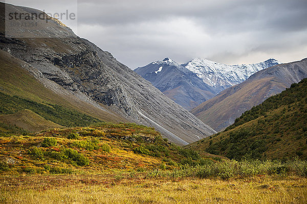 Brooks Range  Gates Of The Arctic National Park im Nordwesten Alaskas; Alaska  Vereinigte Staaten von Amerika'.