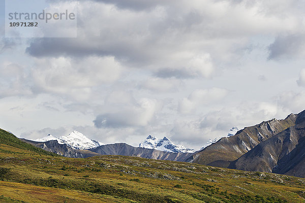 Brooks Range in der Nähe des Noatak River  Arktisches Alaska im Sommer; Alaska  Vereinigte Staaten von Amerika'.