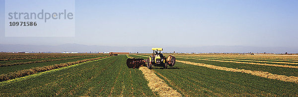 Landwirtschaftliche Traktoren arbeiten im Tandem und harken frisch gemähte Luzerne im Imperial Valley im frühen Frühling  Berge und dunstiger blauer Himmel im Hintergrund; Brawley  Kalifornien  Vereinigte Staaten von Amerika