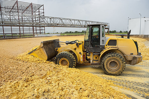 Landwirtschaft - Ein Radlader transportiert Brennereikorn (DG) mit Lösungsmittel in einer Ethanolproduktionsanlage. DG ist das Nebenprodukt  das nach der Ethanolproduktion übrig bleibt und zunehmend in Vieh- und Geflügelfutter verwendet wird / Lexington  Nebraska  USA.