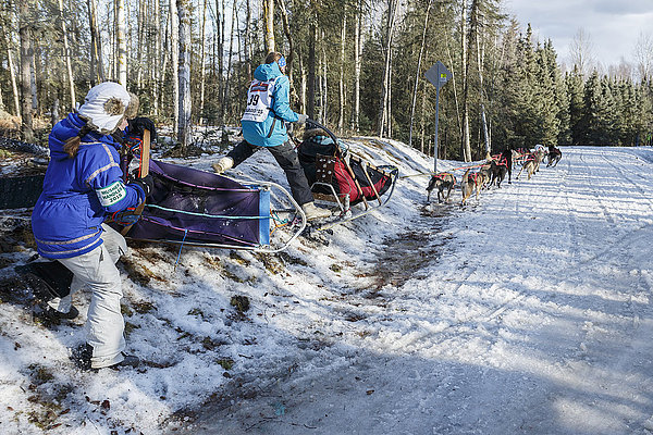 Anna Berington und ihr Hundeführer nehmen eine enge Kurve am Goose Lake während des feierlichen Starttages des Iditarod 2015 in Anchorage  Alaska.