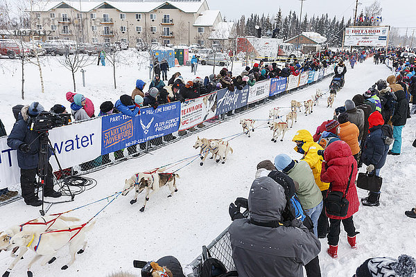 Jim Lanier läuft beim offiziellen Start des Iditarod 2015 in Fairbanks  Alaska  die Startrutsche hinunter.