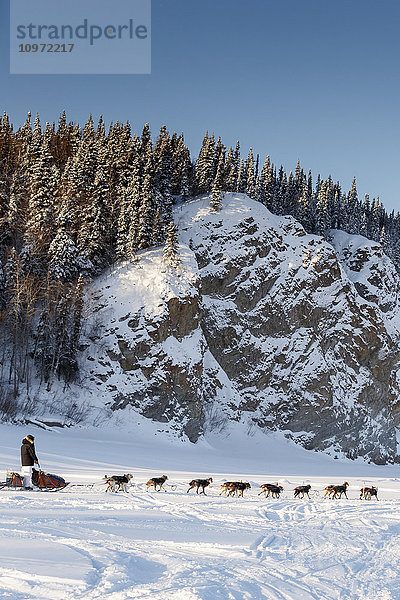 Bryan Bearss läuft auf dem Yukon River kurz nach dem Verlassen des Ruby Checkpoints während des Iditarod 2015