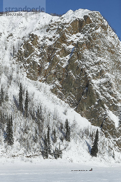 Anna Berington läuft an Klippen und dem Koyukuk Mountain vorbei  kurz vor dem Koyukuk Checkpoint während des Iditarod 2015