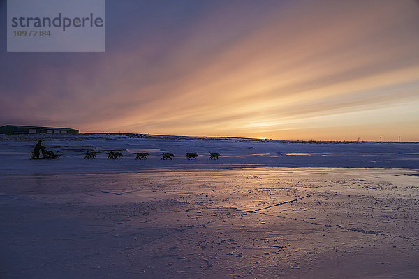 Aaron Burmeister läuft bei Sonnenuntergang während des Iditarod 2015 vom Unalakleet-Kontrollpunkt aus über den Slough.