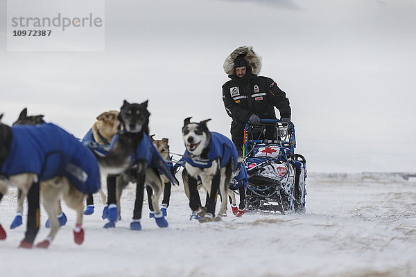 Rookie Jason Campeau läuft beim Iditarod 2015 bei 35 mph Wind auf dem Slough beim Verlassen des Unalakleet Checkpoints