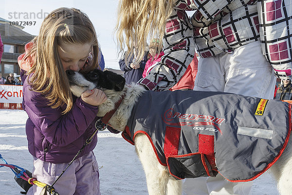 Junges Mädchen umarmt einen der Hunde von Wade Marrs nach seinem Zieleinlauf in Nome beim Iditarod 2015