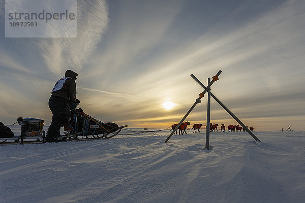Ken Anderson passiert während des Iditarod 2015 einige Meilen vor dem Ziel in Nome einen Tripod-Trail-Marker
