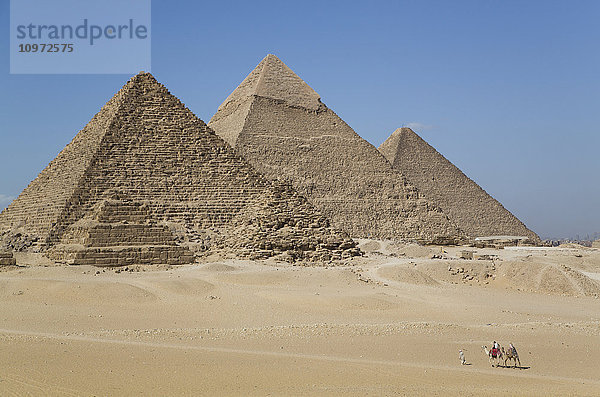 Kamele mit Tourist und Führer  Die Pyramiden von Gizeh; Gizeh  Ägypten'.