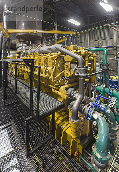 Gelber Dieselgenerator in einem Elektrizitätswerk  Prudhoe Bay  arktisches Alaska  USA  Sommer