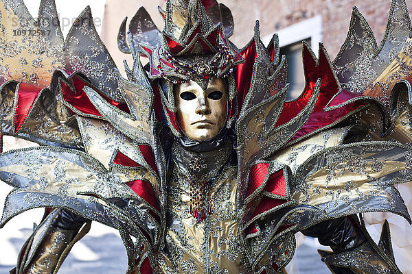 Eine Person in einem kunstvollen Kostüm und einer Maske; Venedig  Italien'.