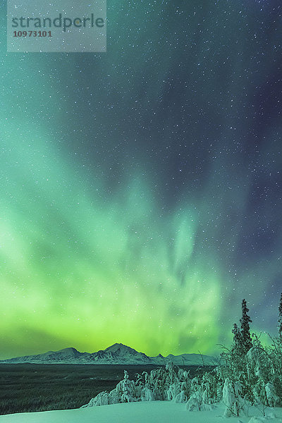 Grüne Nordlichter über dem Copper River und den Wrangell Mountains in der Nähe von Glennallen  Southcentral Alaska  USA  Winter