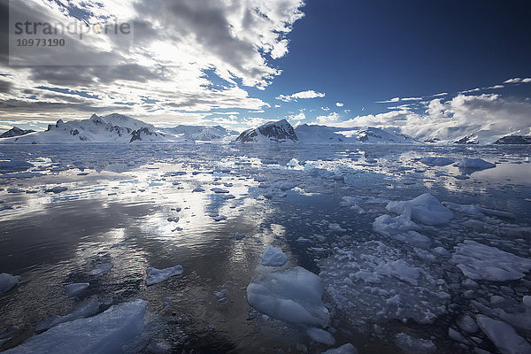 Eisströme in der Gerlache-Straße vor dem Neko-Hafen  Antarktische Halbinsel; Antarktis'.