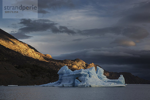 Eisberg im Grey Lake  Torres del Paine National Park; Region Magallanes  Chile'.