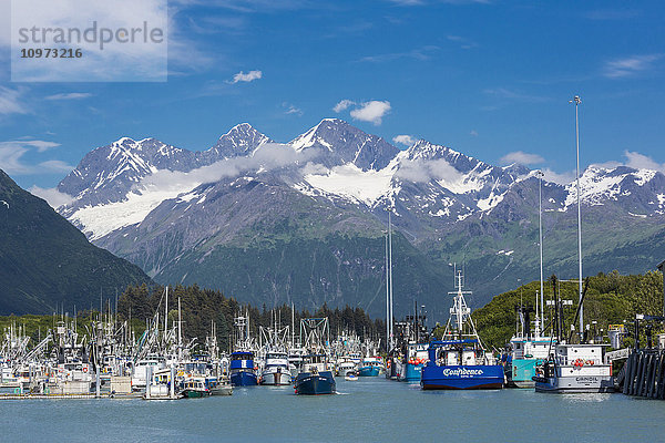 Blick auf Wadenfischerboote im Bootshafen von Valdez und die schneebedeckten Chugach Mountains  Southcentral Alaska  Sommer.
