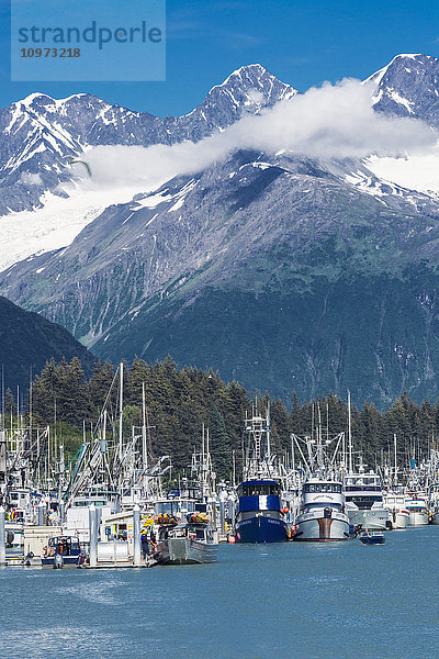 Blick auf Wadenfischerboote im Bootshafen von Valdez und die schneebedeckten Chugach Mountains  Southcentral Alaska  Sommer.