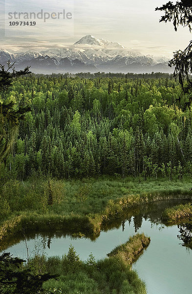 Blick auf die Südseite des Mt. McKinley mit einem Biberteich und dem Twister Creek im Vordergrund  Talkeetna  Süd-Zentral-Alaska