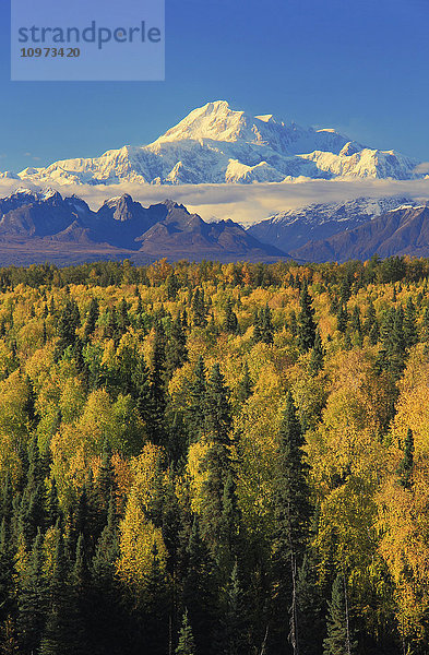 Herbstliche Aussicht auf die Südseite des Mt. McKinley von einem Aussichtspunkt am Straßenrand in der Nähe von Talkeetna  Süd-Zentral-Alaska