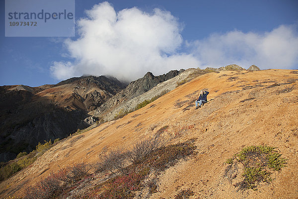 Wanderer  der auf dem Schafsberg mit einem Handy telefoniert  Talkeetna Mountains  Southcentral Alaska
