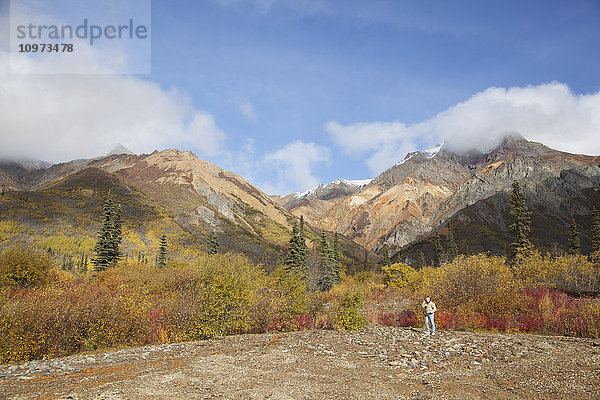 Wanderer  der mit einem Handy telefoniert  mit dem Sheep Mountain und der Talkeetna Range im Hintergrund  Southcentral Alaska  Herbst